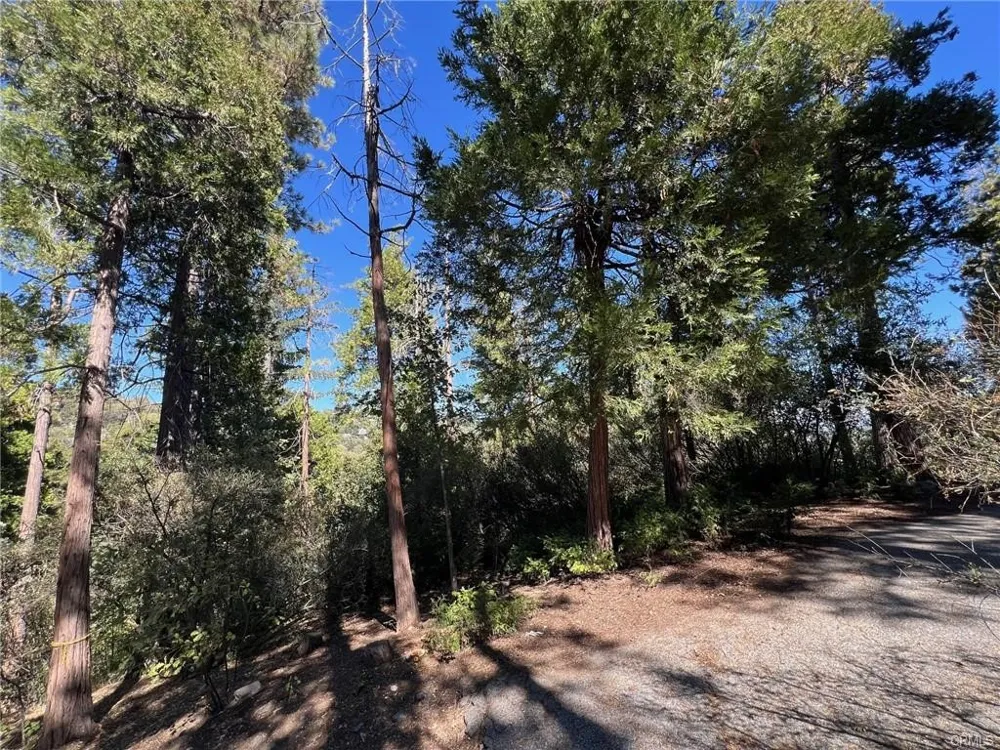 27530 North Bay Road Lake Arrowhead, CA 92352