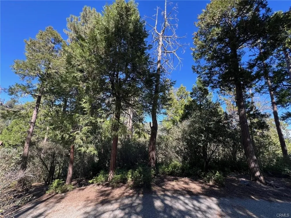 27530 North Bay Road Lake Arrowhead, CA 92352
