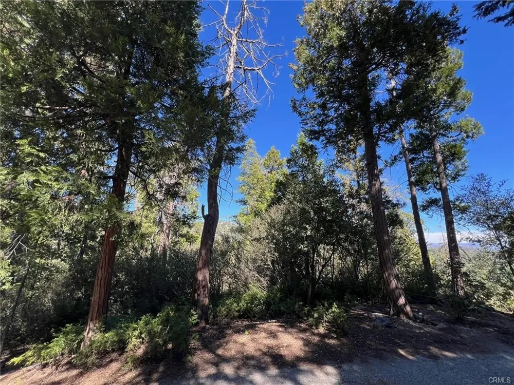 27530 North Bay Road Lake Arrowhead, CA 92352