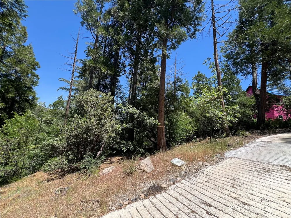 27530 North Bay Road Lake Arrowhead, CA 92352
