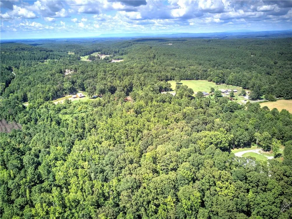 000 Crowe Springs Spur Adairsville, GA 30103