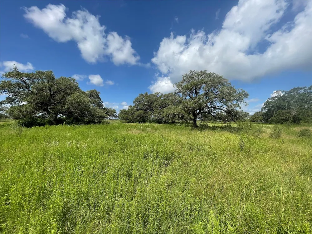 Hwy 183 Refugio, TX 78377