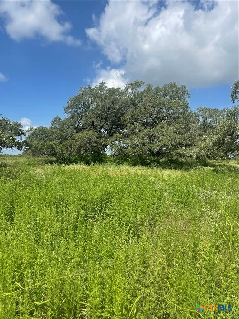 Hwy 183 Refugio, TX 78377
