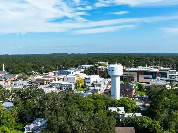31527 WILD GRAPE LANE Brooksville, FL 34602