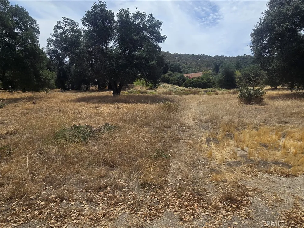 32539 Camino Moro Warner Springs, CA 92086