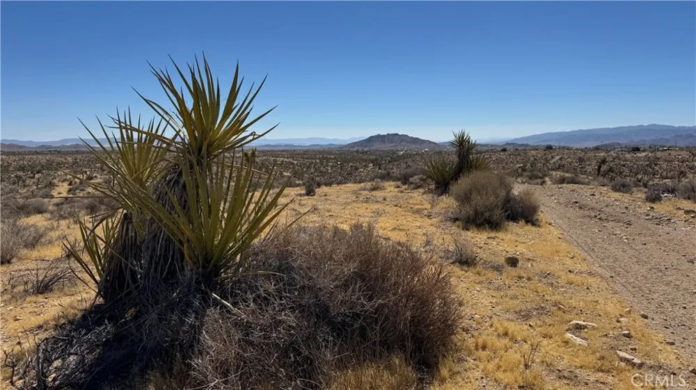 Melody Lane Yucca Valley, CA 92284