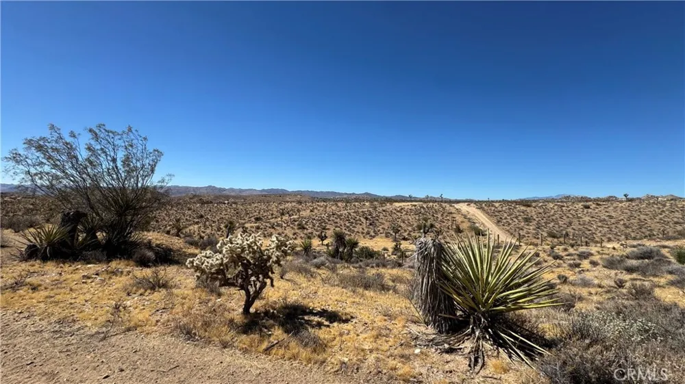 Melody Lane Yucca Valley, CA 92284