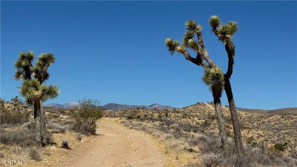 Melody Lane Yucca Valley, CA 92284