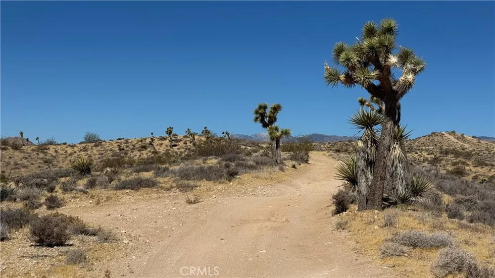 Melody Lane Yucca Valley, CA 92284