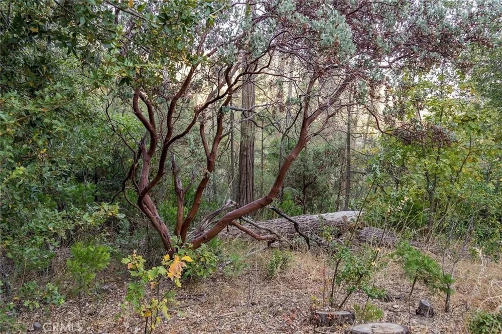 35528 Road 223 North Fork, CA 93643
