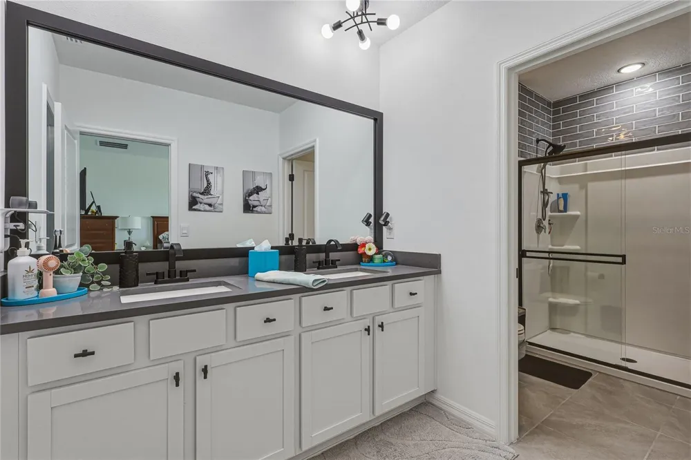 388 MANGROVE SHADE CIRCLE Apollo Beach, FL 33572