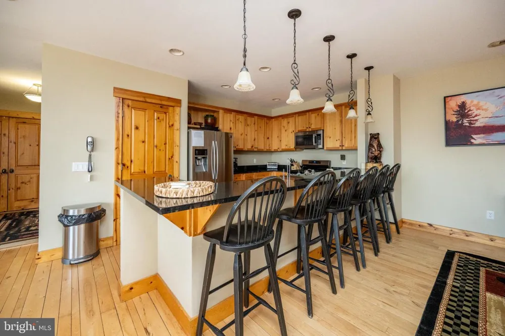 163 KENDALL CAMP CIRCLE Mc Henry, MD 21541