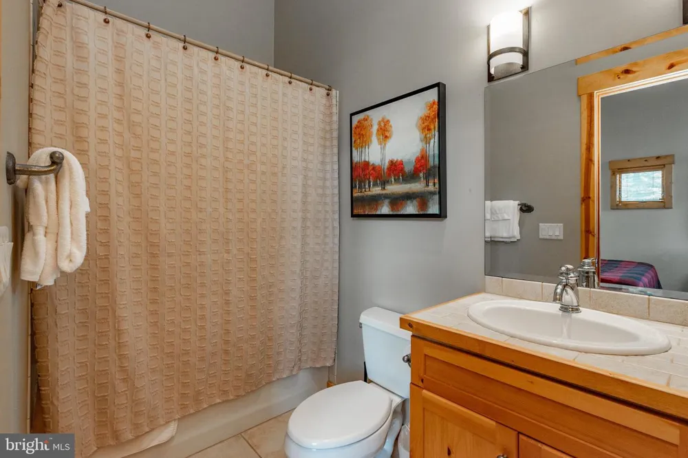 163 KENDALL CAMP CIRCLE Mc Henry, MD 21541