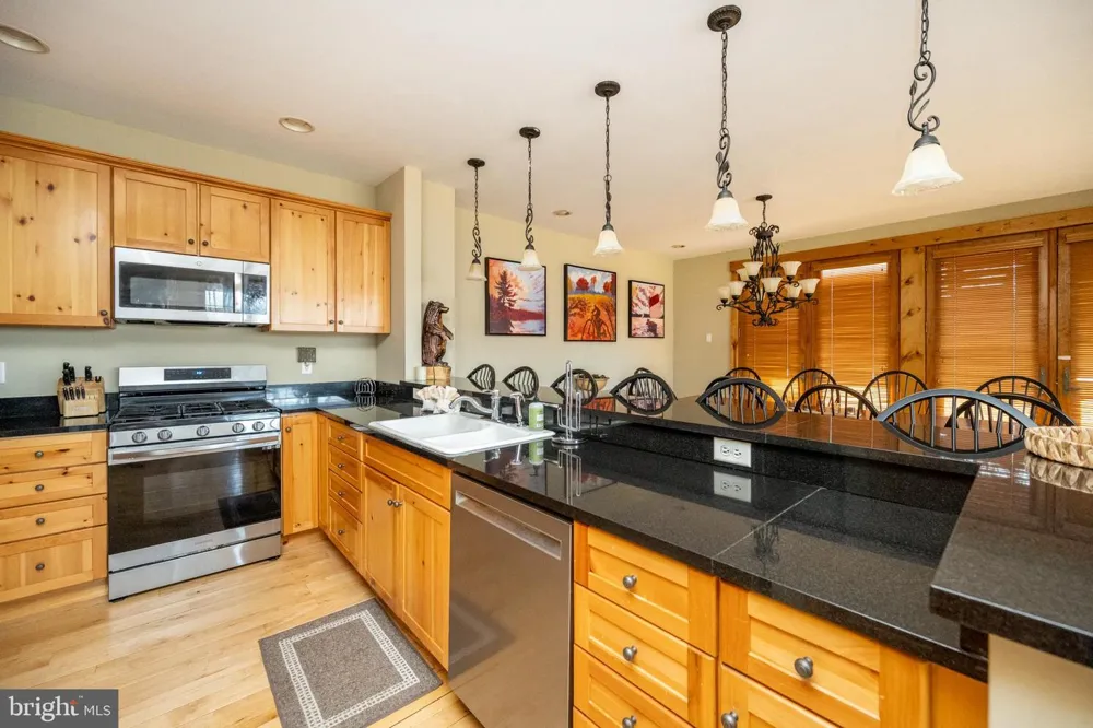 163 KENDALL CAMP CIRCLE Mc Henry, MD 21541