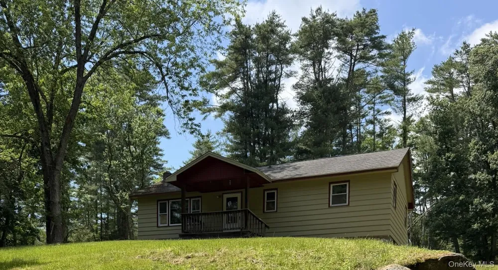 5 Steges Road Eldred, NY 12743