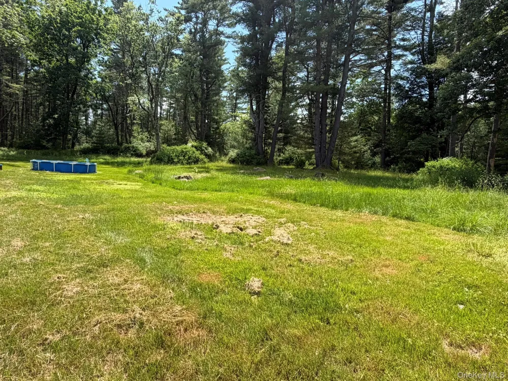 5 Steges Road Eldred, NY 12743