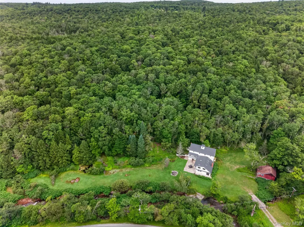 609 Grooville Road Livingston Manor, NY 12758