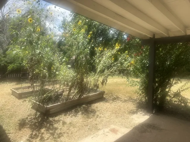 1200 Ash Drive Marble Falls, TX 78654