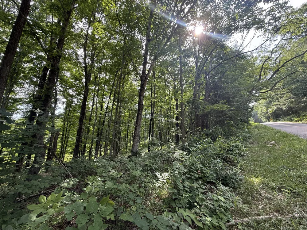 0 Rocky Point Rd Cookeville, TN 38506