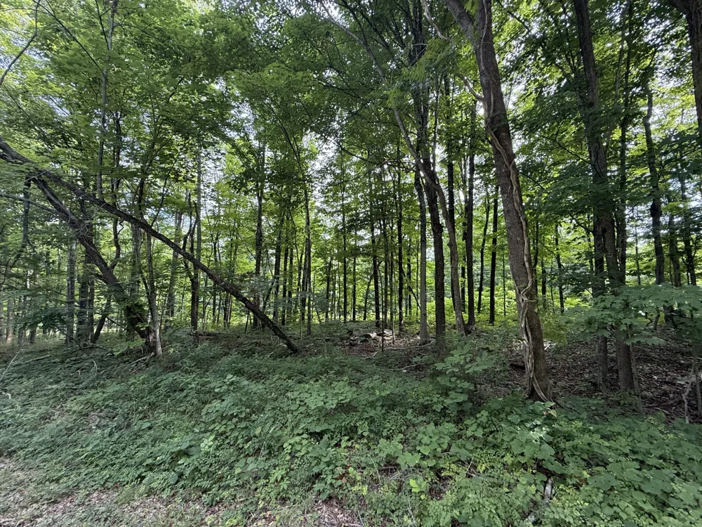 0 Rocky Point Rd Cookeville, TN 38506