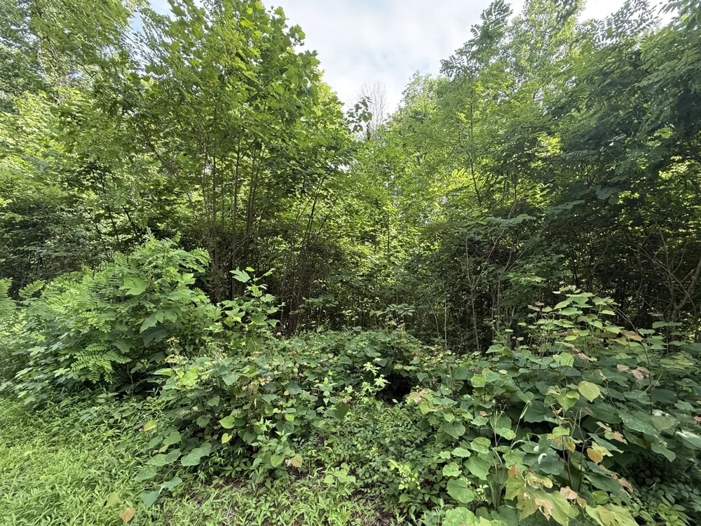 0 Rocky Point Rd Cookeville, TN 38506