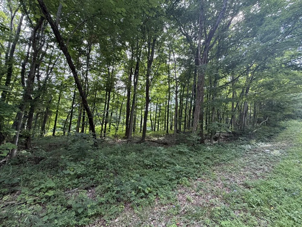 0 Rocky Point Rd Cookeville, TN 38506