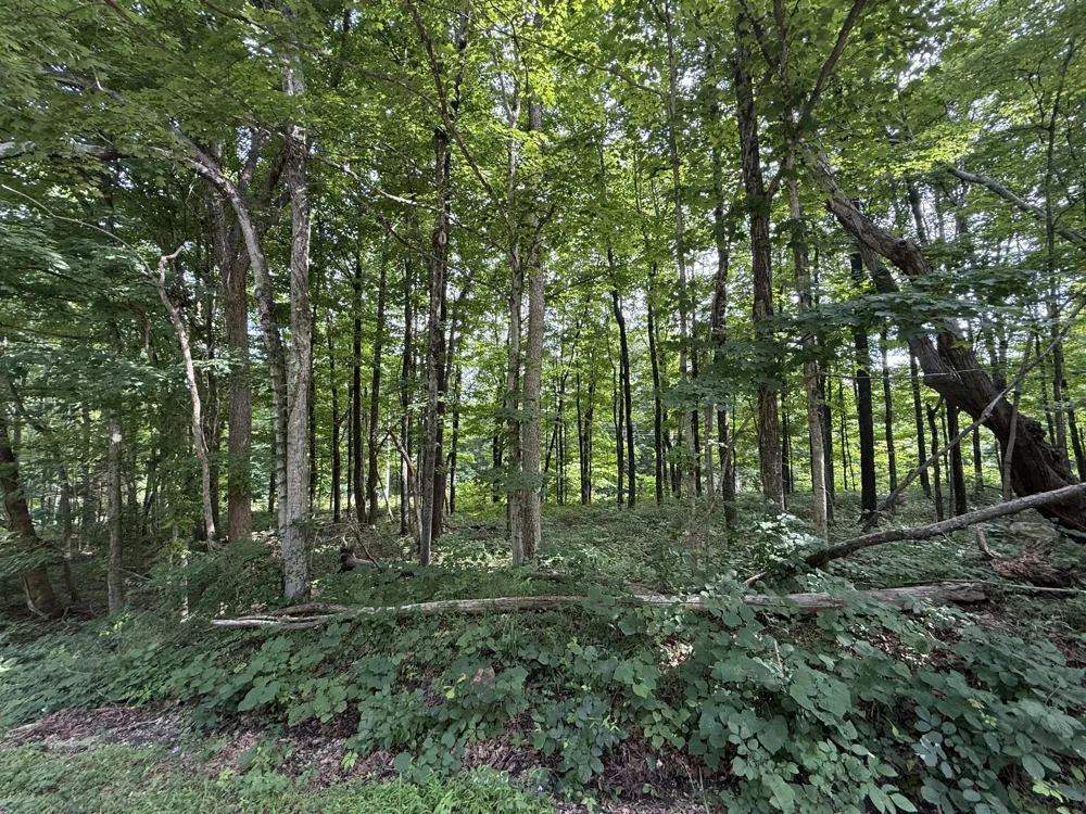 0 Rocky Point Rd Cookeville, TN 38506
