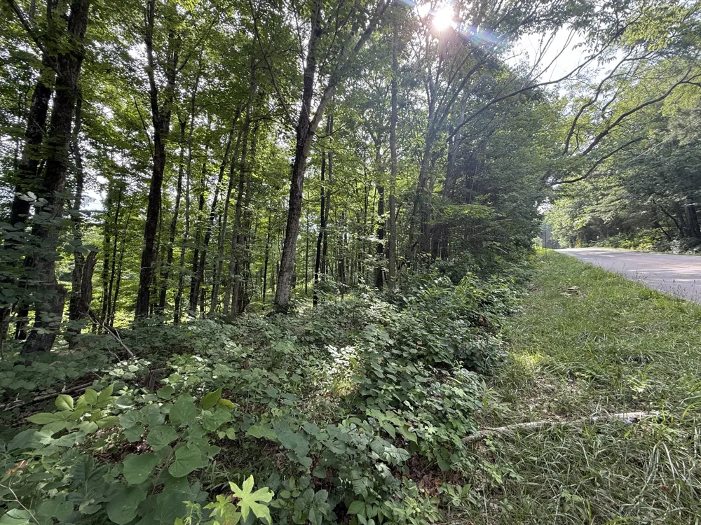 0 Rocky Point Rd Cookeville, TN 38506