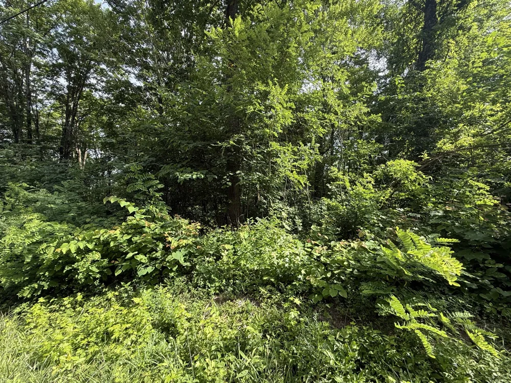 0 Rocky Point Rd Cookeville, TN 38506