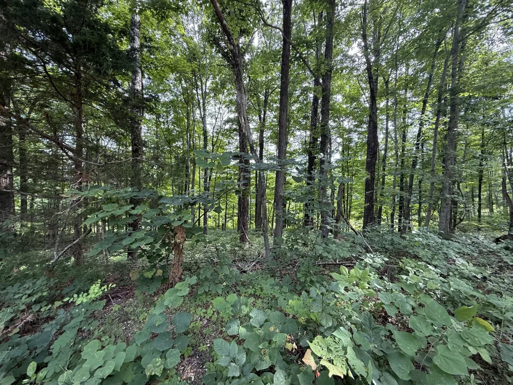 0 Rocky Point Rd Cookeville, TN 38506