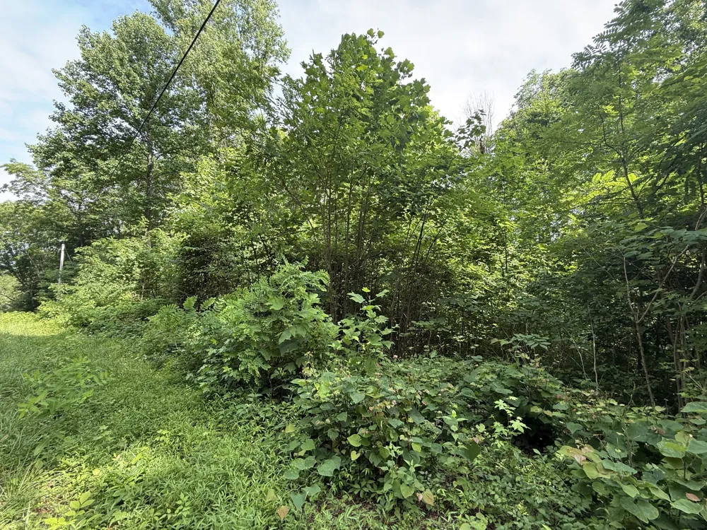 0 Rocky Point Rd Cookeville, TN 38506