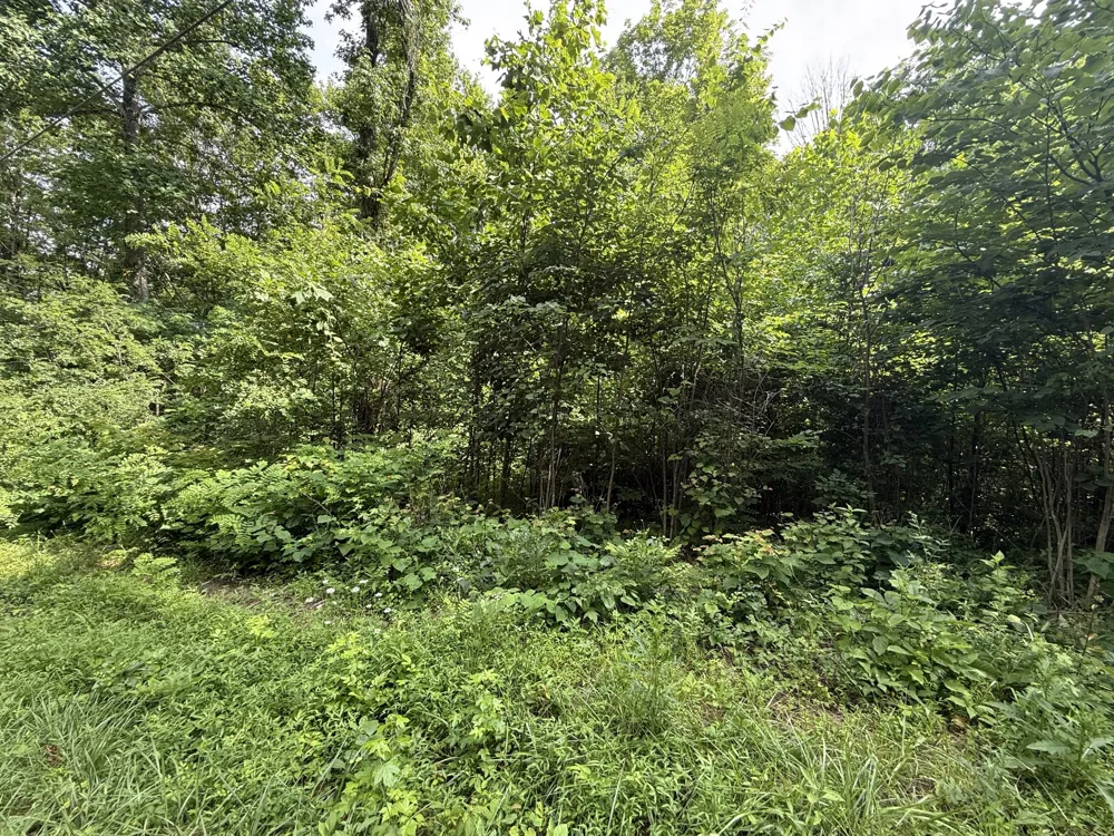0 Rocky Point Rd Cookeville, TN 38506