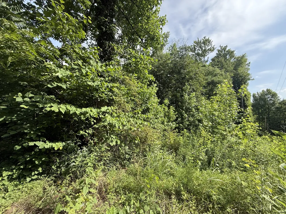 0 Rocky Point Rd Cookeville, TN 38506