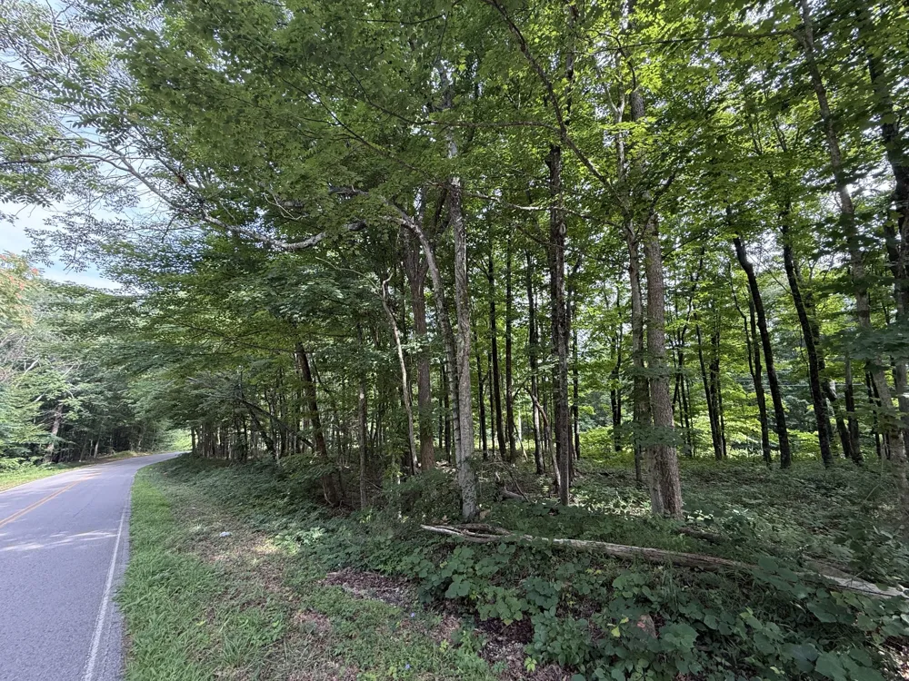 0 Rocky Point Rd Cookeville, TN 38506