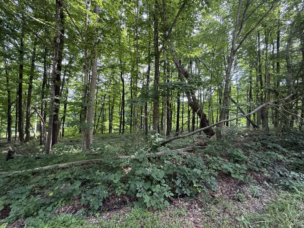 0 Rocky Point Rd Cookeville, TN 38506