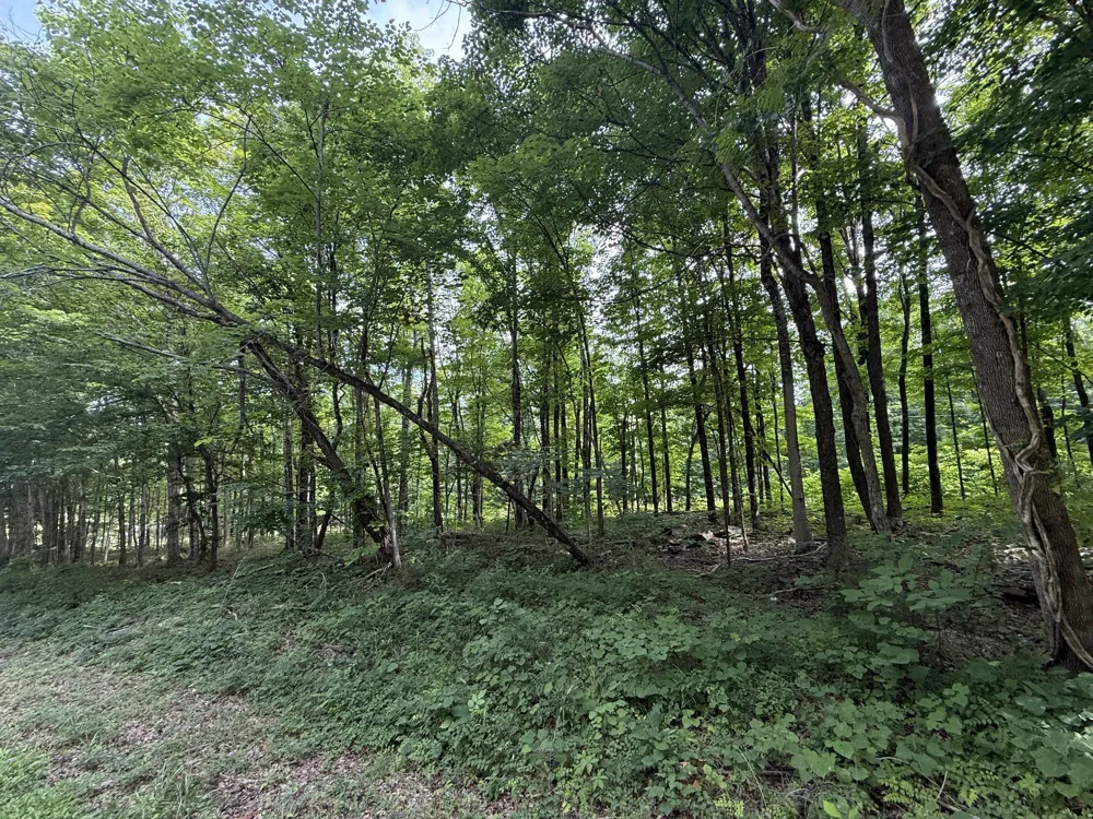 0 Rocky Point Rd Cookeville, TN 38506