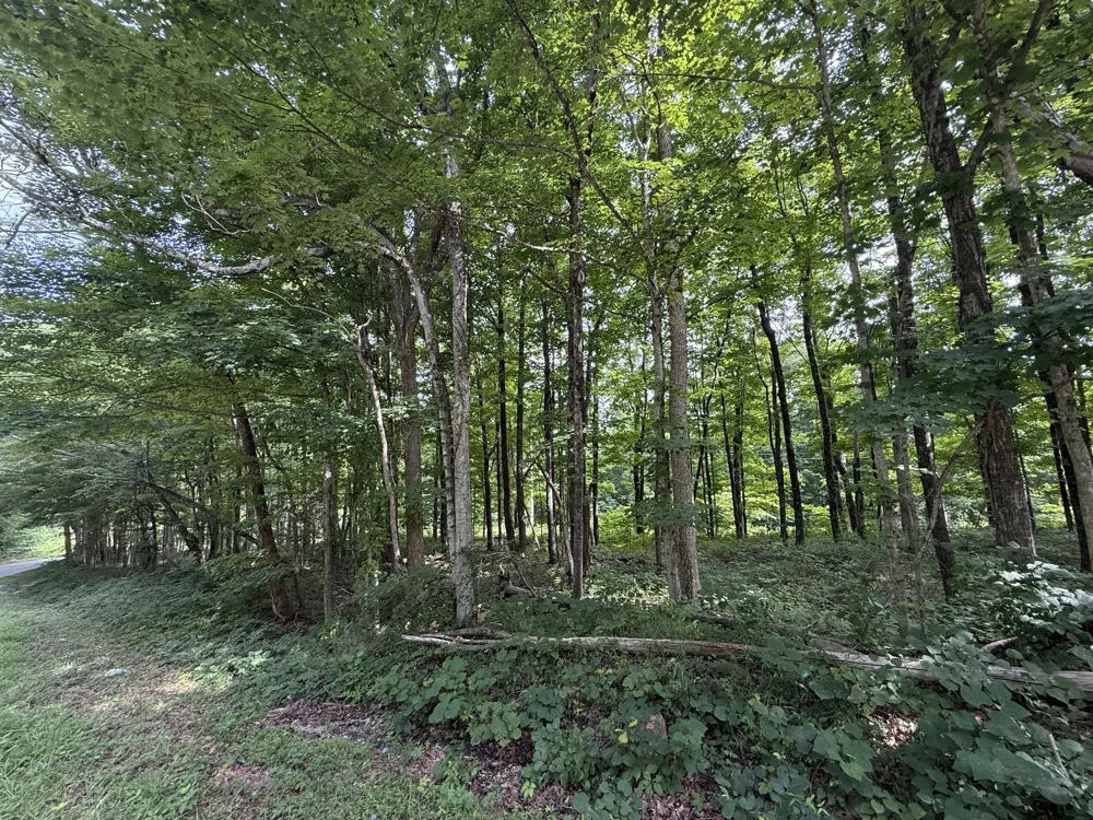 0 Rocky Point Rd Cookeville, TN 38506
