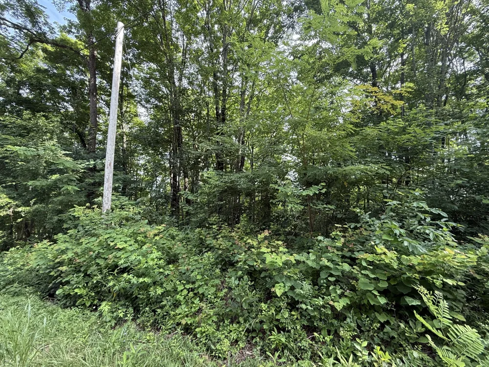 0 Rocky Point Rd Cookeville, TN 38506
