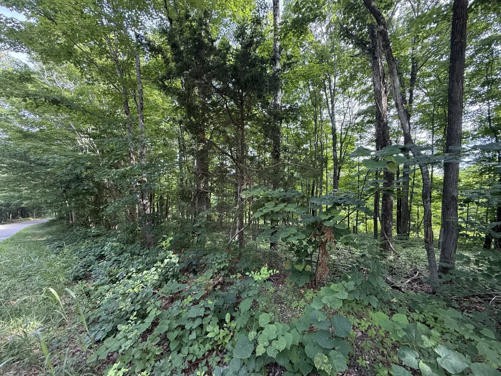 0 Rocky Point Rd Cookeville, TN 38506