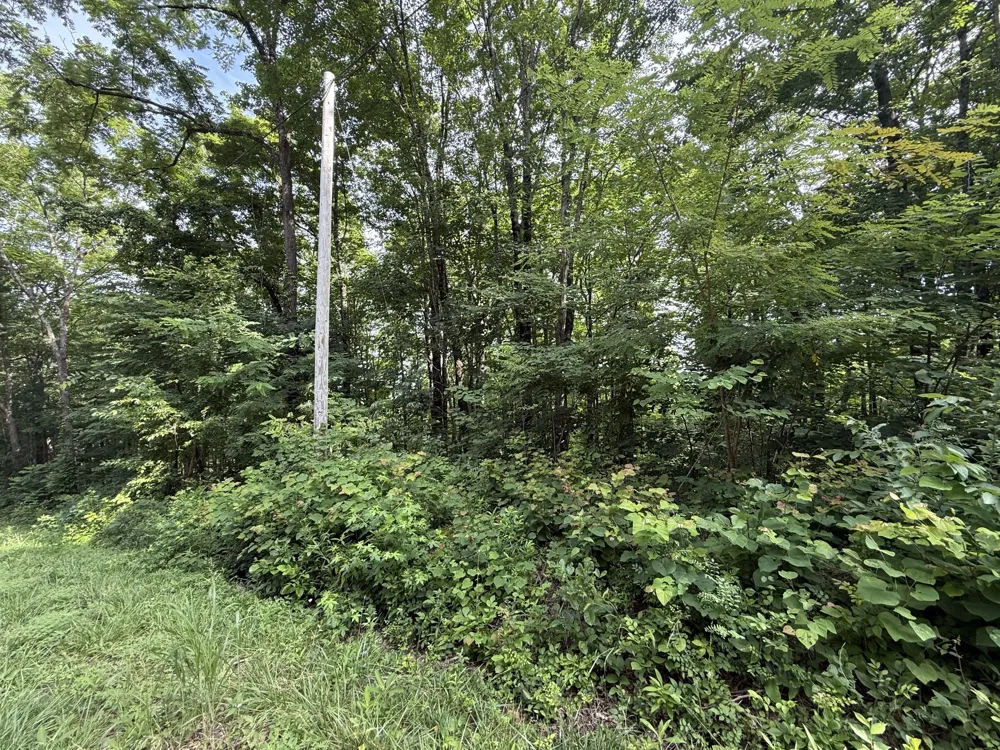 0 Rocky Point Rd Cookeville, TN 38506