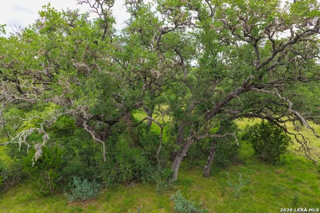 30 ACRES +/- Peaceful Valley Rd Bandera, TX 78003