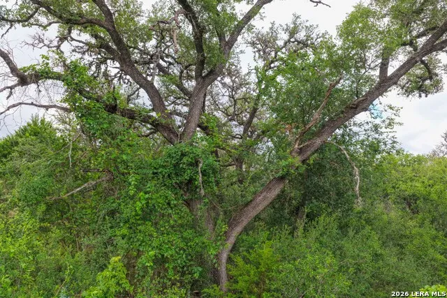 30 ACRES +/- Peaceful Valley Rd Bandera, TX 78003