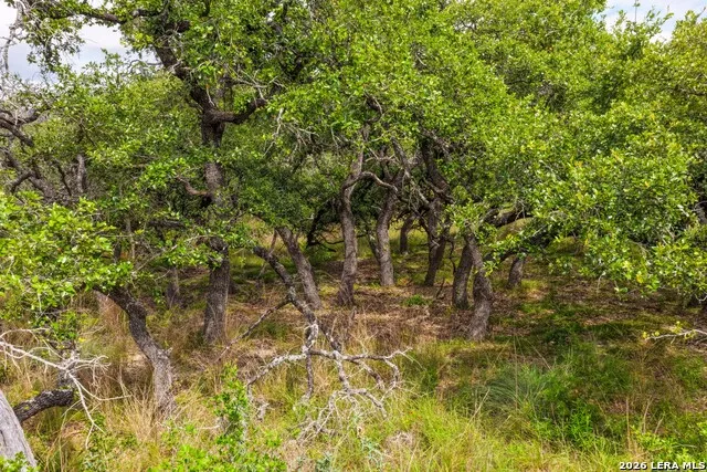 30 ACRES +/- Peaceful Valley Rd Bandera, TX 78003