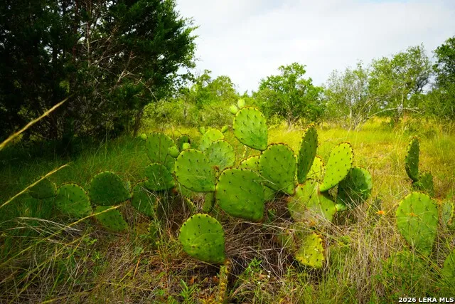 30 ACRES +/- Peaceful Valley Rd Bandera, TX 78003
