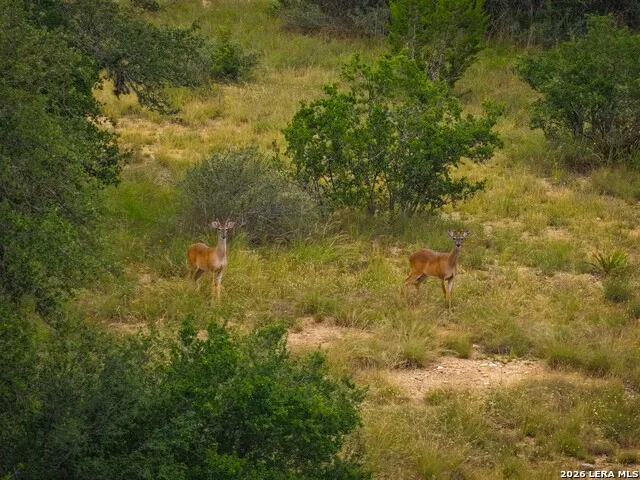 30 ACRES +/- Peaceful Valley Rd Bandera, TX 78003