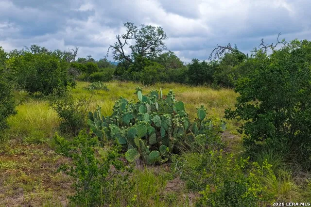 30 ACRES +/- Peaceful Valley Rd Bandera, TX 78003