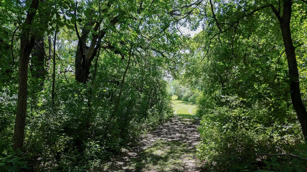 6565 165th Avenue NW New London, MN 56273
