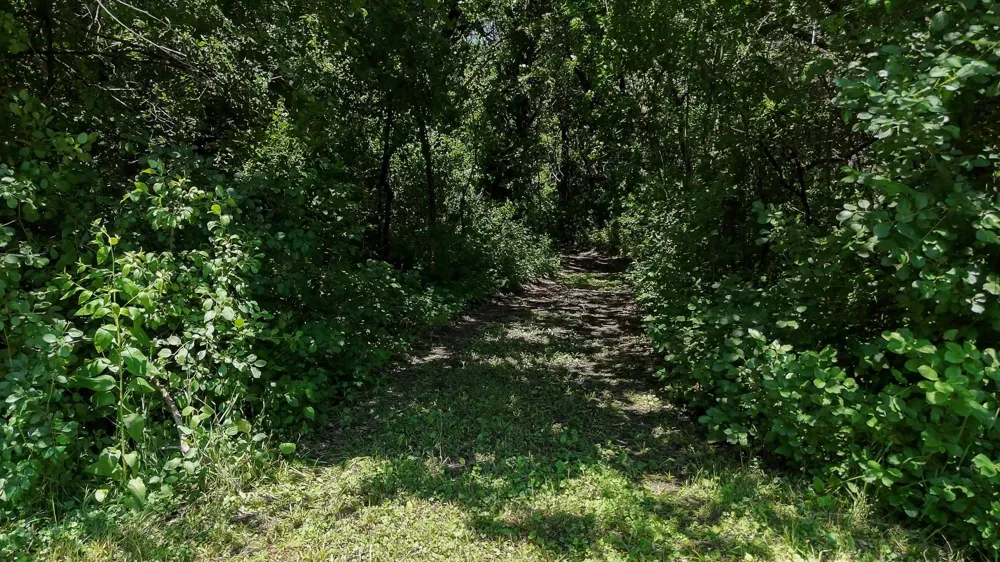 6565 165th Avenue NW New London, MN 56273