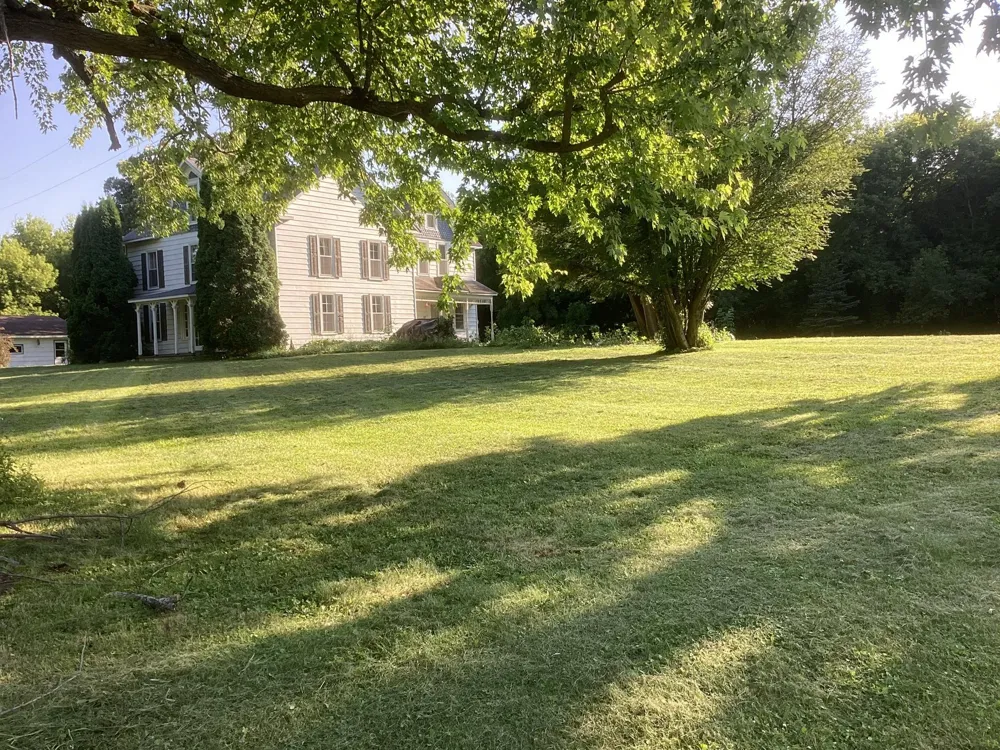 6565 165th Avenue NW New London, MN 56273