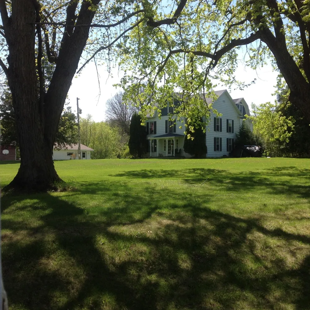 6565 165th Avenue NW New London, MN 56273
